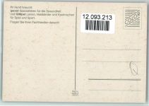Cockerspaniel Welpen ca 1965 AK Spaniel