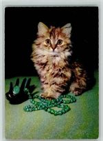 Kätzchen mit einer Perlenkette 1965 AK Katze
