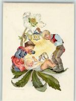 sign Schwarz-Torinus Nr. 1160 Verlag Michel - Weihnachtsrose - Blütenbild Märchen Künstlerkarte