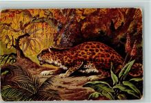 Leopard - sign P. Perlberg Serie Fauna I Nr. 3 AK Raubkatze Künstlerkarte
