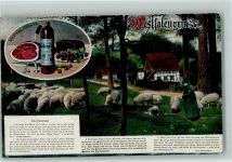 Westfalengruss - Schäfer - Westfalenlied 1925 AK Berufe Schaf