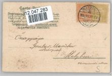 Veilchen Golddruck Stoffaplikationen Schwalbe 1903 Prägedruck