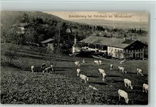 W8201 Gundelsberg , Oberbay Ortsansicht Ziegen Ziege