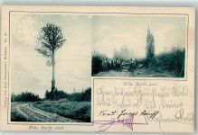 W7547 Bad Wildbad im Schwarzwald Hohe Buche einst und jetzt Baum 1900