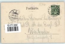 W7547 Bad Wildbad im Schwarzwald Hohe Buche einst und jetzt Baum 1900