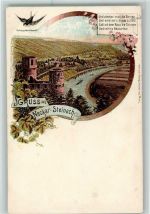 69239 W6918 Neckarsteinach Lithographie Ortsansicht Schwalbennest Schwalbe