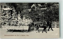 75365 W7260 Calw FOTO KEINE AK Landwirschaftliches Bezirksfest 1912 Strickwarenfabrik v. Chr. L. Wagner Festwagen Ort handschriftlich