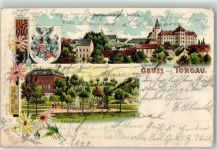 04860 O7290 Torgau 1902 Lithographie Königsbad Schloß Hartenfels Wappen