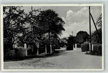 01896 O8506 Ohorn