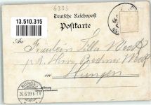 35619 W6333 Braunfels 1899 Lithographie Tiergarten Hirschgruppe Forsthaus Schloß Braunfels Wappen Bahnpoststempel