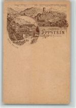 65817 W6239 Eppstein , Taunus BOAKC Vorläufer Druck 1880-89 Hotel Seiler