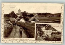 79874 W7821 Breitnau 1911 - Feldweg Blumenwiese Wanderer Gasthaus zum Kreuz