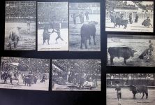 Lot mit 9 AK Stierkampf Kleinposten bis 20