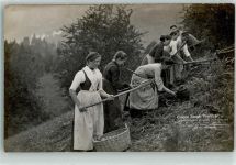 77704 W7602 Oberkirch , Baden 1907 Foto AK Erntehelferinnen Harke Flechtkörbe