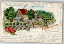 07639 O6532 Bad Klosterlausnitz 1899 Lithographie Gärtnerei-Weinschenke zur Sächsischen Schweiz Rosen