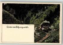 Gruss vom Schwarzwald Verlag Velten Nr. 5 Daur, H. 1897 Lithographie / Künstlerkarte
