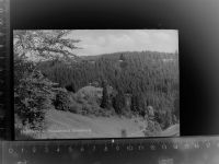 96349 W8645 Nordhalben GLASNEGATIV