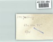 21266 W2112 Jesteburg FOTO KEINE AK Sanatorium Rüsselkäfer Ruheraum, Höhensonne