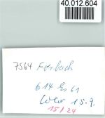 76596 W7564 Forbach , Baden FOTO KEINE AK Murg