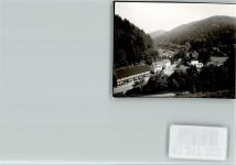 37449 W3421 Zorge FOTO KEINE AK