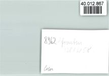 87459 W8962 Pfronten FOTO KEINE AK