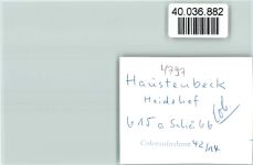 33189 W4797 Oesterholz-Haustenbeck FOTO KEINE AK Heidehof Allee