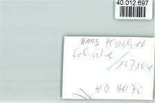 W8113 Kochel a. See Schule Schule FOTO KEINE AK