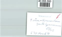 54595 W5540 Prüm FOTO KEINE AK Ortsansicht