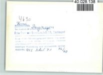 W4690 Herne , Westf Bergziegen Ziege FOTO KEINE AK