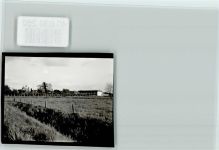 48720 W4428 Darfeld FOTO KEINE AK Weide