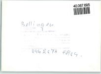 79415 W7848 Bad Bellingen , Baden FOTO KEINE AK Kurpark, Fahnen