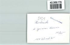 56412 W5431 Horbach , Westerw FOTO KEINE AK Gasthaus grüner Baum