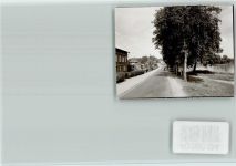 23714 W2423 Neukirchen b Eutin FOTO KEINE AK Birkenallee