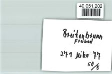 92363 W8431 Breitenbrunn , Oberpf FOTO KEINE AK Freibad Rutsche
