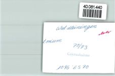 W6933 Waldleiningen , Baden Schloß Gemälde FOTO KEINE AK