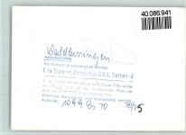 W6933 Waldleiningen , Baden Marie Fürstin zu Leiningen Gemälde FOTO KEINE AK