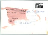 94227 W8372 Zwiesel FOTO KEINE AK Pension Kopfhammer