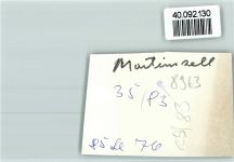 87448 W8963 Martinszell i Allgäu FOTO KEINE AK Wohnhaus