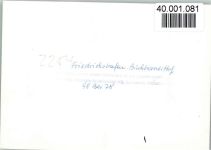 25840 W2254 Friedrichstadt , Eider FOTO KEINE AK Hotel Buchhornerhof Aussenaufnahme, Fotohaus Magnus, Apotheke