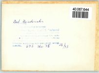 26160 W2903 Bad Zwischenahn FOTO KEINE AK St. Johannes Kirche, Tafelbild