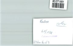 24235 W2304 Laboe FOTO KEINE AK