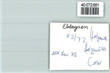 31832 W3213 Eldagsen , Deister FOTO KEINE AK