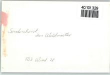 48324 W4415 Sendenhorst FOTO KEINE AK Zur Waldmutter