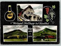 97516 W8722 Handthal , Kr Schweinfurt - Weingut Stollburg Weinberge 3-Bildaufnahme