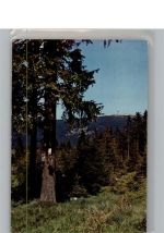 38875 O3701 Elend, Brocken , Harz