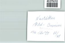 56355 W5428 Nastätten FOTO KEINE AK Hotel Oranien