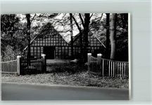 49838 W4453 Gersten - Foto