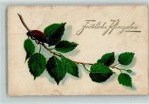 Pfingstgruß Maikäfer