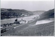 54470 W5553 Wehlen, Mosel - Foto-Karte
