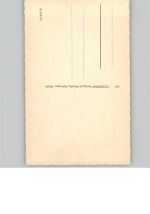 79274 W7811 St. Märgen - AKU2